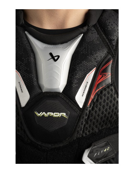 PETO BAUER VAPOR FLY40 INT